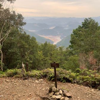 本宮を見る。ゴールは近い。