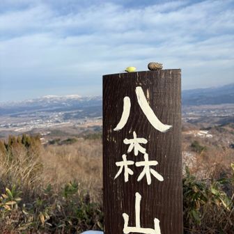 八森山　山頂△
上の方は日当たりが良いのかな？
雪がほぼほぼ🍐