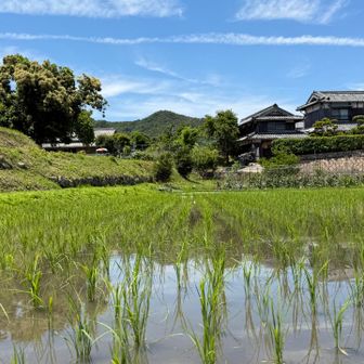 樫ヶ峰