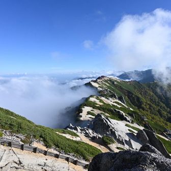 あいちゃんねる