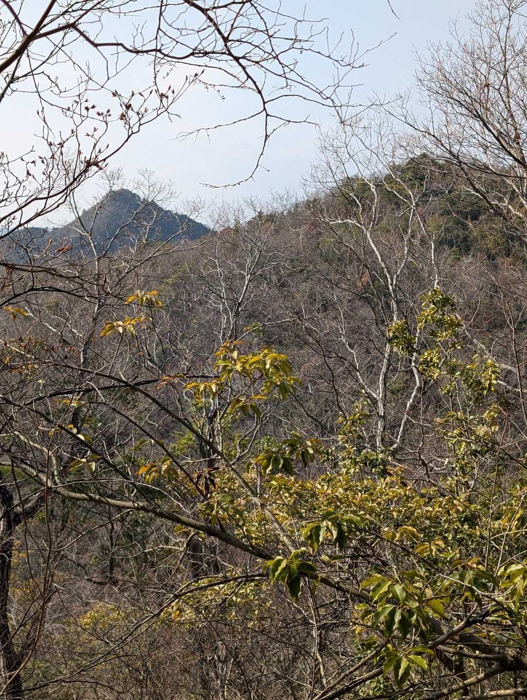 有馬富士、手前は清水山