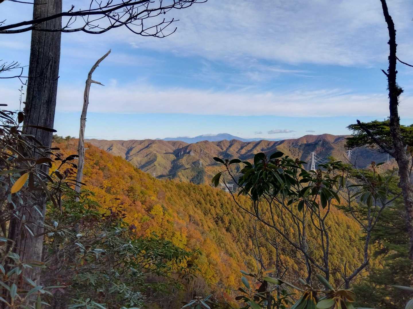山肌紅葉が素敵🍁