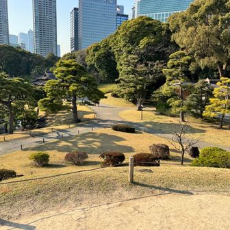 山頂からの展望