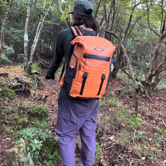 かの有名な大崩山だけど‥
今日初めて会ったboy岩の方から登って来たと
すごい岩の見応えある写真見せてもらった
バックショット撮って良い？って聞いたら
後ろ向いてくれたので一枚
ありがとう🙏

今日はここ2人だけかも
車はあったけど人には会ってないな~

パン食べてるとこ見られなくて良かった
15時15分のの交通規制ない時間にあそこを通過したいよね‥🚧