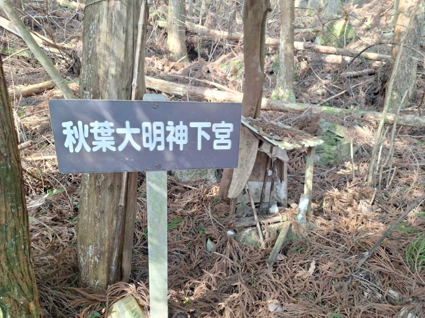 このあと最初に登る岩峰に奥宮があります(^.^)