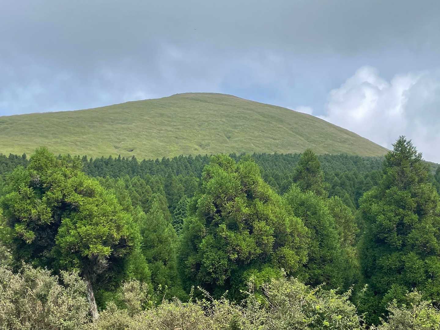 目指すアソコ…杵島岳⛰️