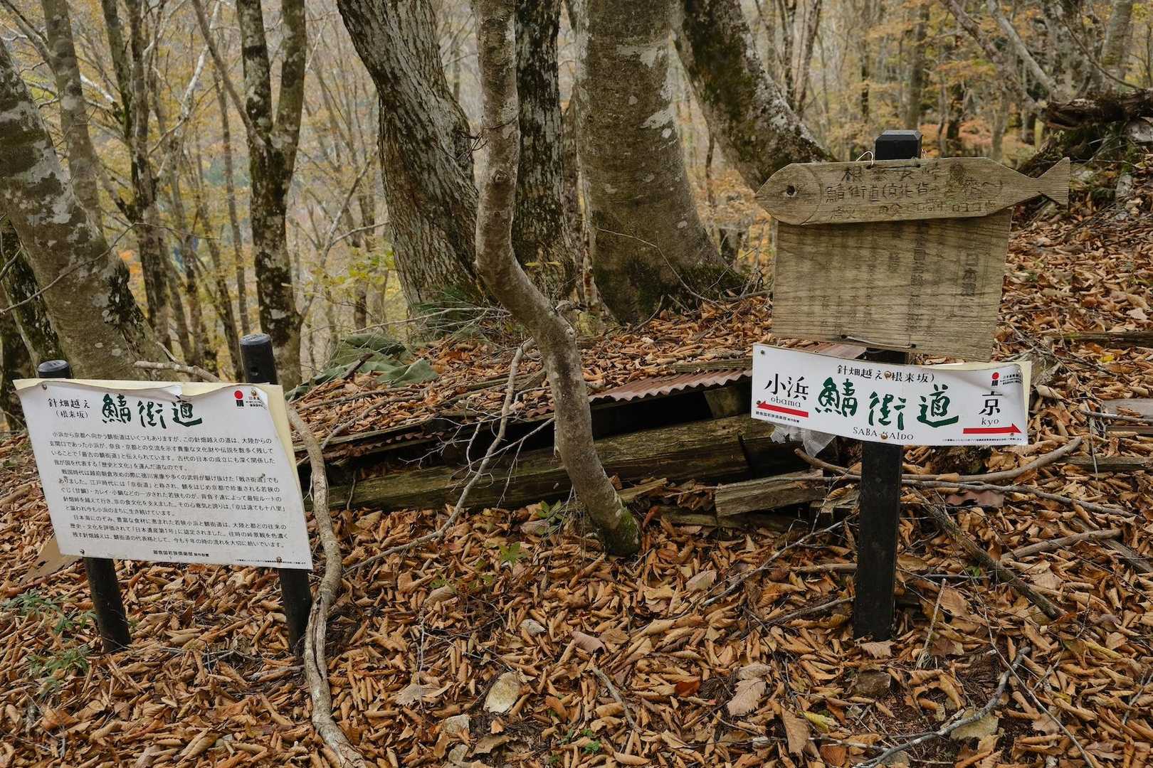 ここから鯖街道！🐟