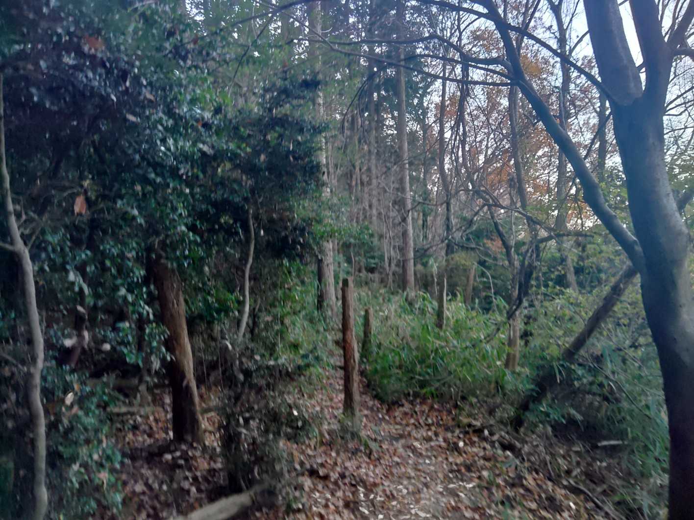 396m地点。昔はここが銀峰山頂でした。