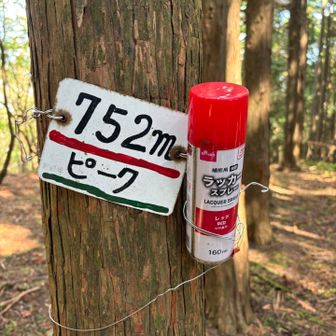 次のピークに謎のラッカースプレー笑