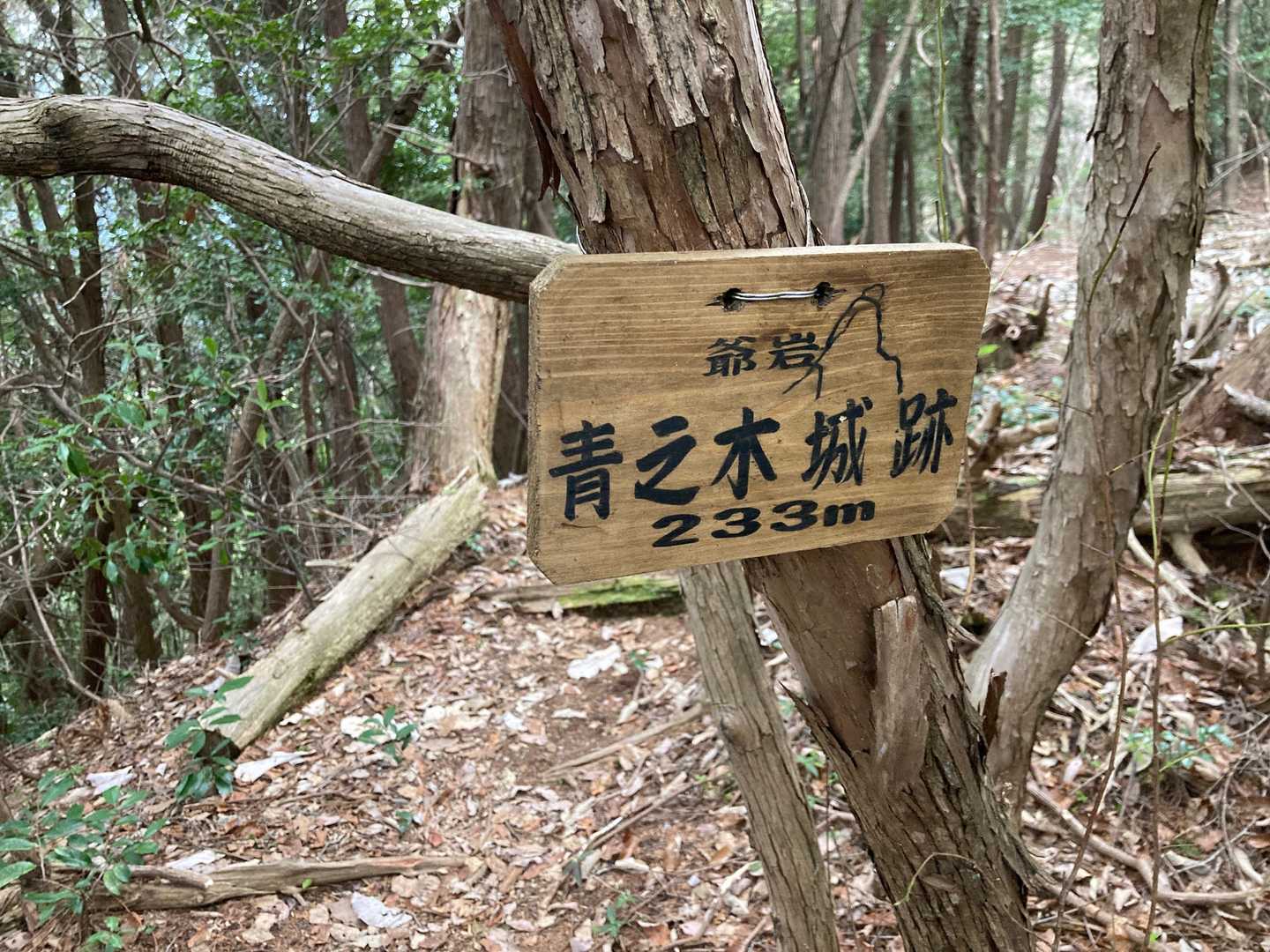 老梅山-青之木城跡-椎倉山 往復コースの写真