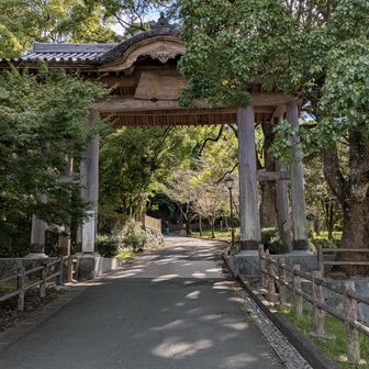 山門をくぐる。