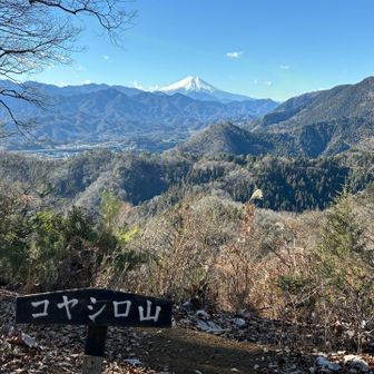 いい標識︎︎👍🏻︎︎