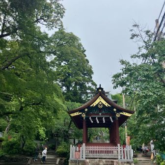 今日は、白雲橋コースから登りました