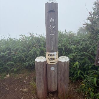白砂山の山頂