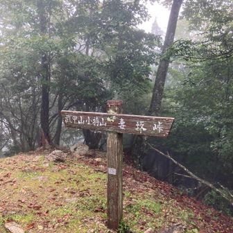 大持山まで2時間、誰にも会いませんでした。
