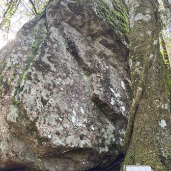 天狗岩
パワースポットらしいです