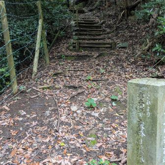 行けそうでしたが
滝、八剣神社は諦めました💦
落ち葉、倒木、メマトイまで😂