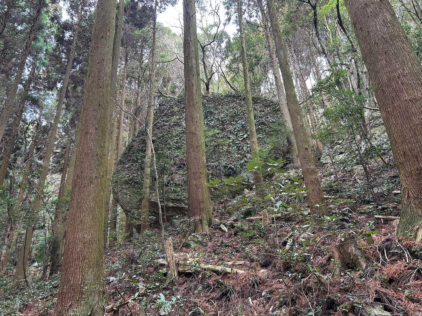 巨岩がいたる所に