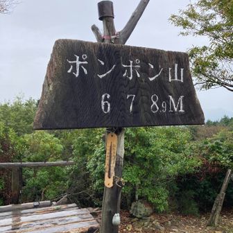 はい！🆗です！