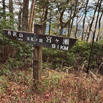 3つ目のピーク、
太礼の頭