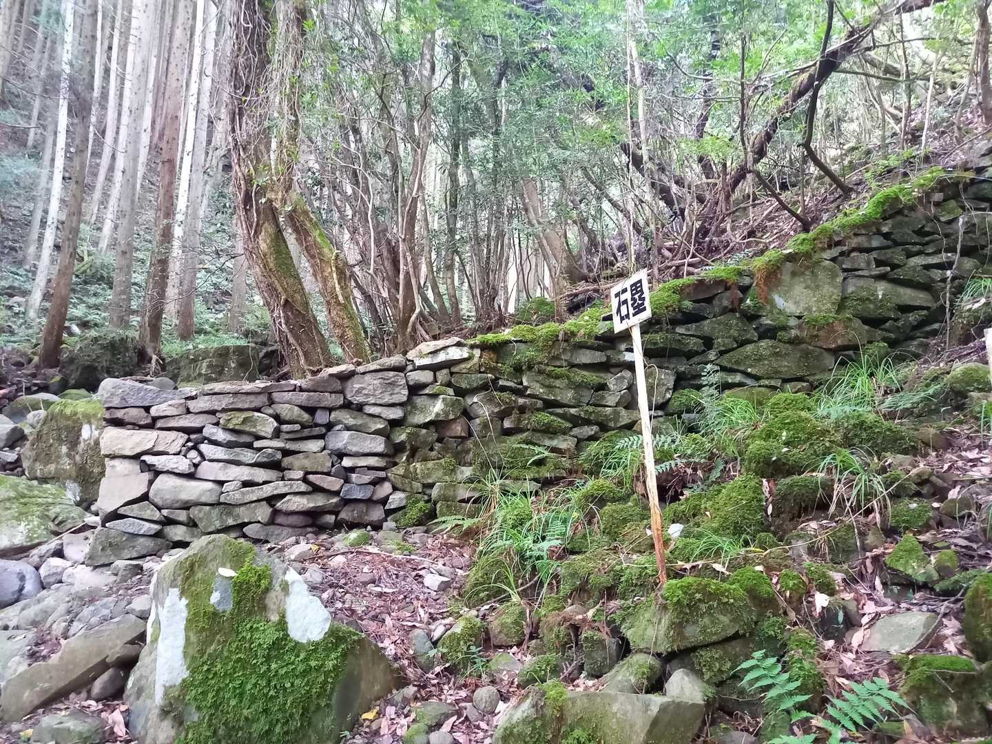 石塁(せきるい)が見事！