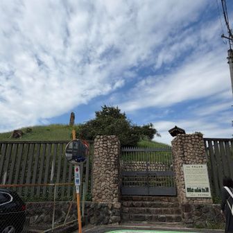 帝塚山古墳、たぶん裏側😅