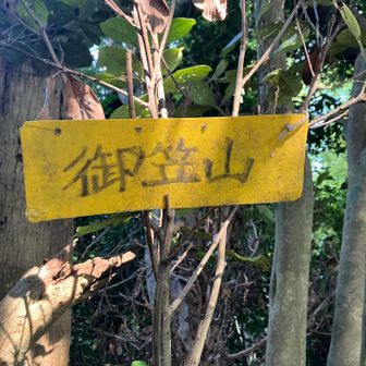 眺望なし