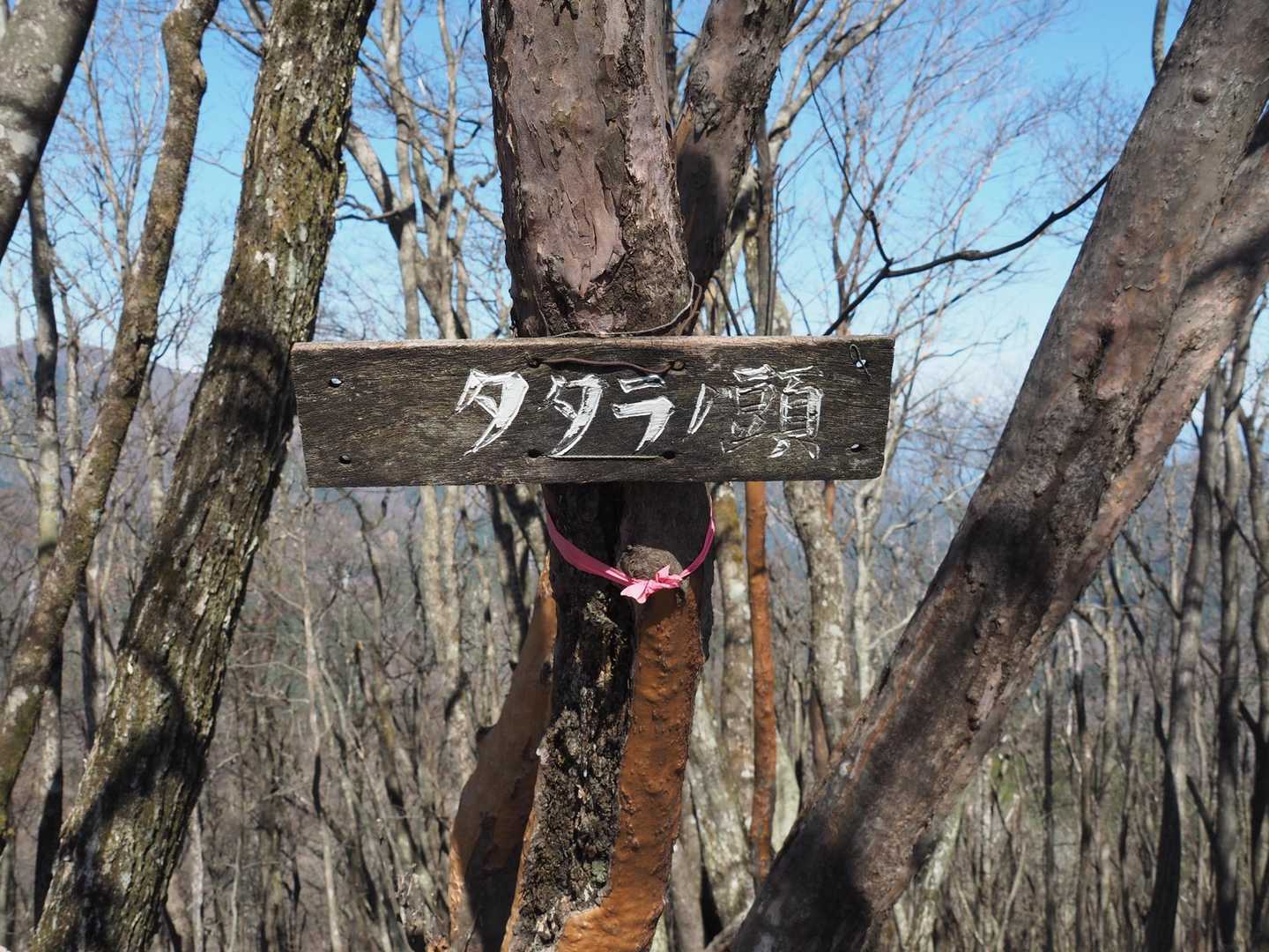 有間山（タタラノ頭）
こっちが最高峰。