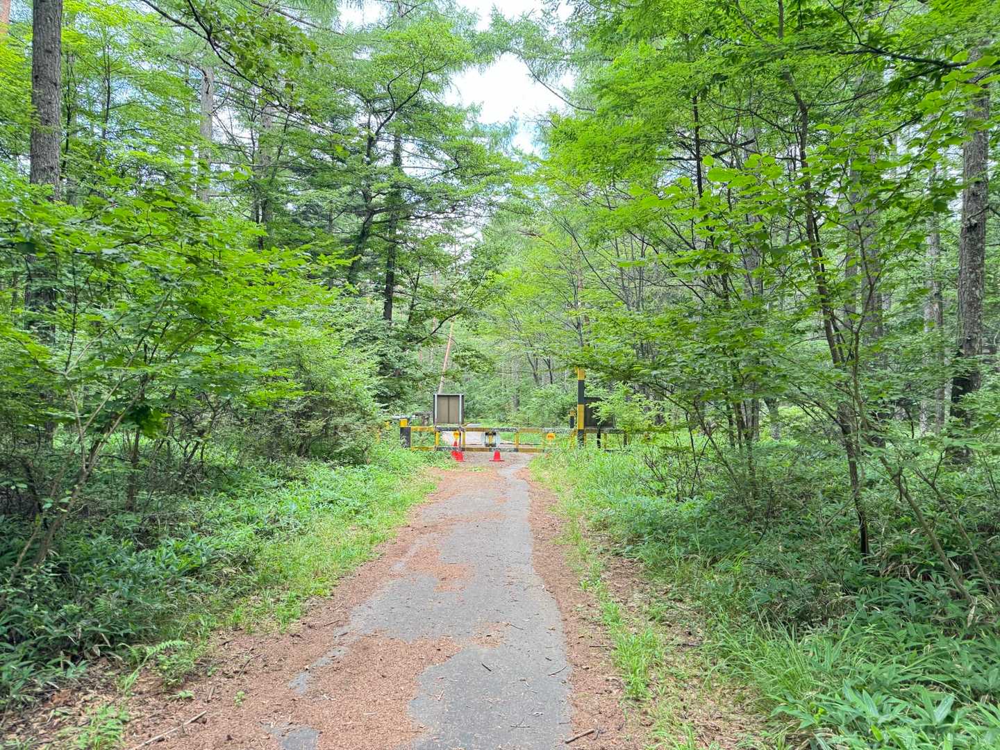 登山口に到着、無事ゲッザーン

麓と言ってもここは標高1600mあるので涼しいです