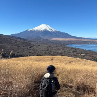 デンカ