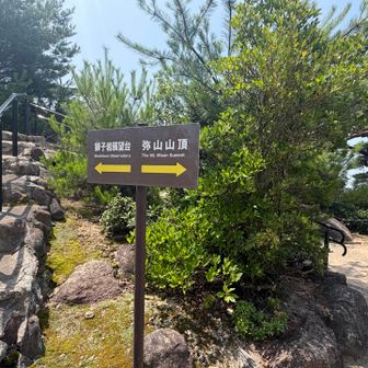 そんな訳で、弥山山頂へ向かいます。
片道30分か。
余裕だろ。
