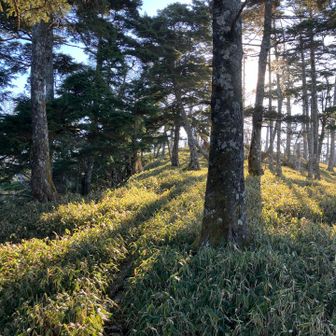 ついに！くるぞくるぞ😆