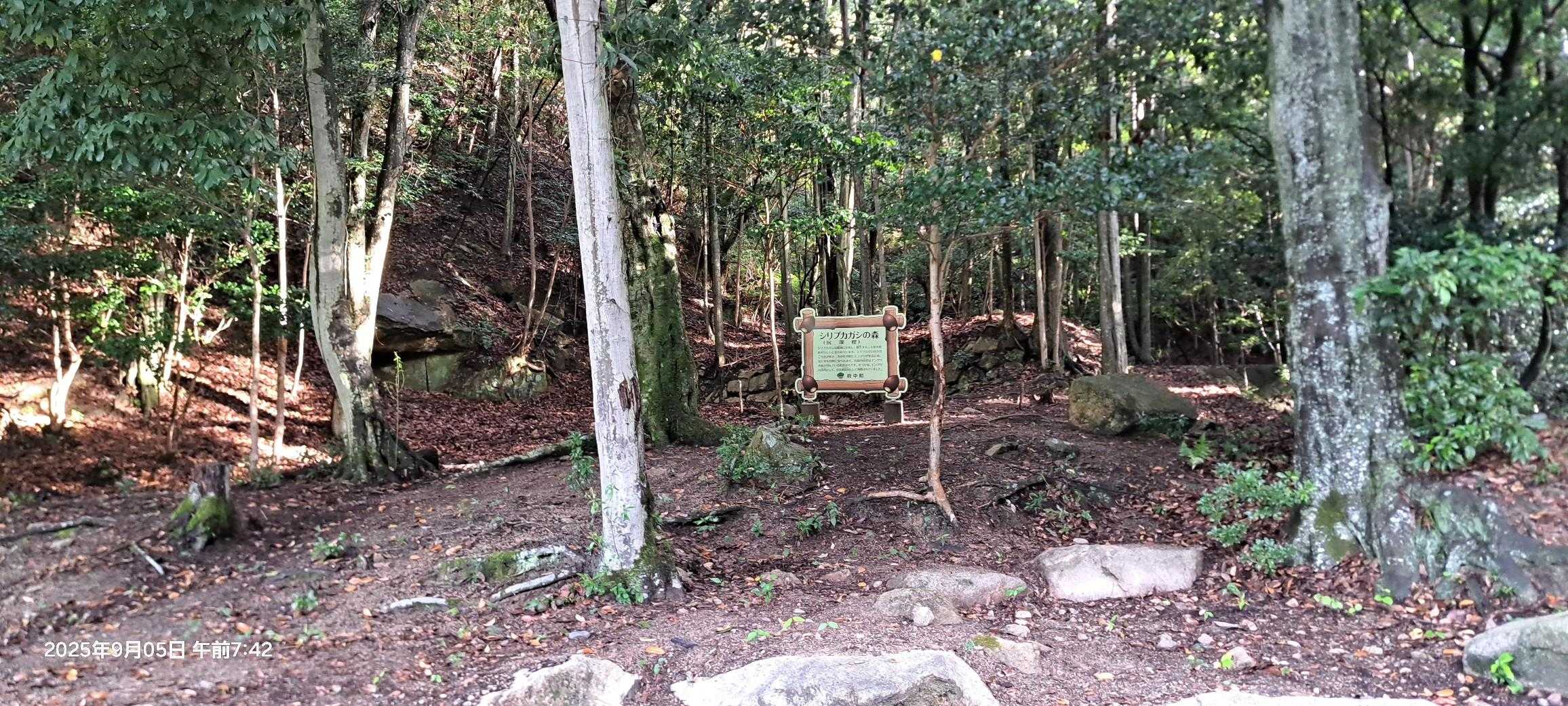 ここに出てきました😃