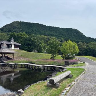 公園内を歩きます