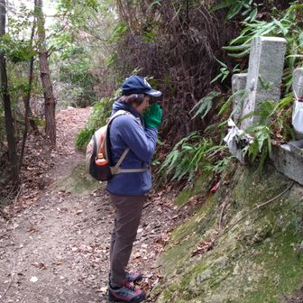 痩せますように‼️