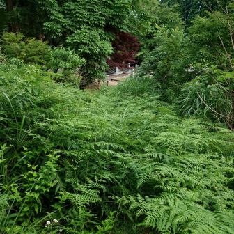 登山道最後が凄い事になっている…足下に気をつけて