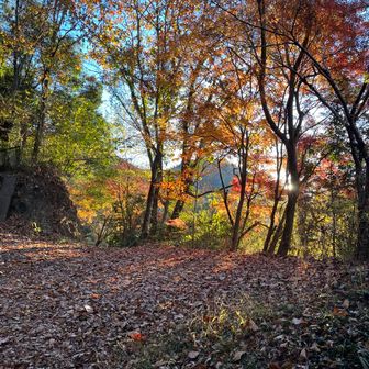 山登り 好き太郎