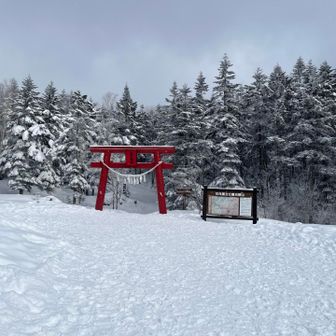 高山