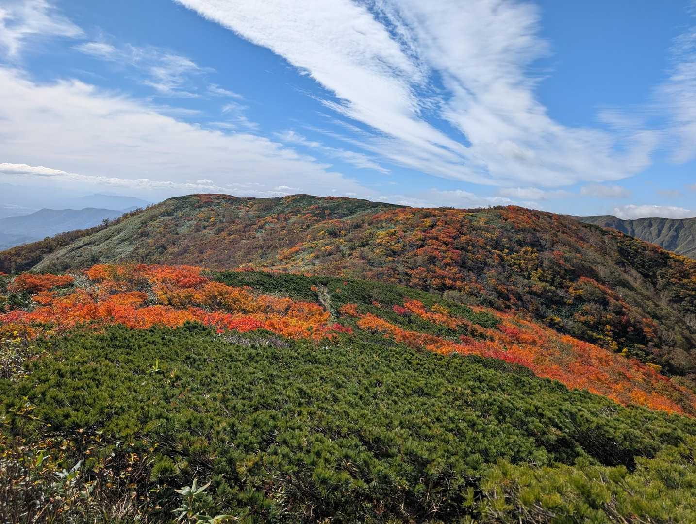 高畑登山口-高下岳 往復コースの写真