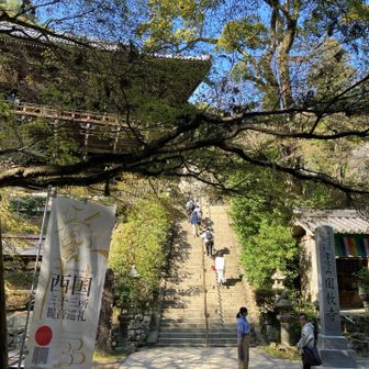 摩尼殿の下から