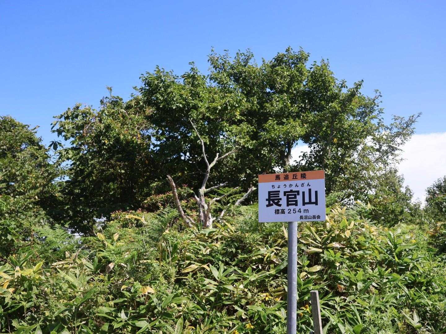 山頂！👍
日射しが強い…💦