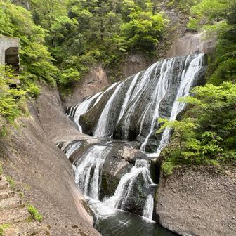 急な階段を降りて、吊り橋を渡ったところから眺めた「袋田の滝」