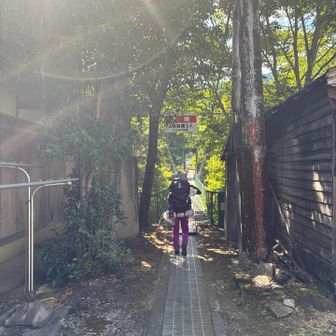 定員5名の吊り橋