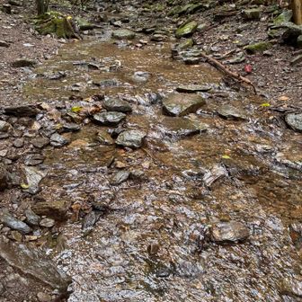 大垂水の沢
穂高とは比べ物にならないが水量が多い