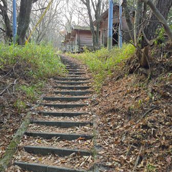 先週下ったけど、登るのは久し振り