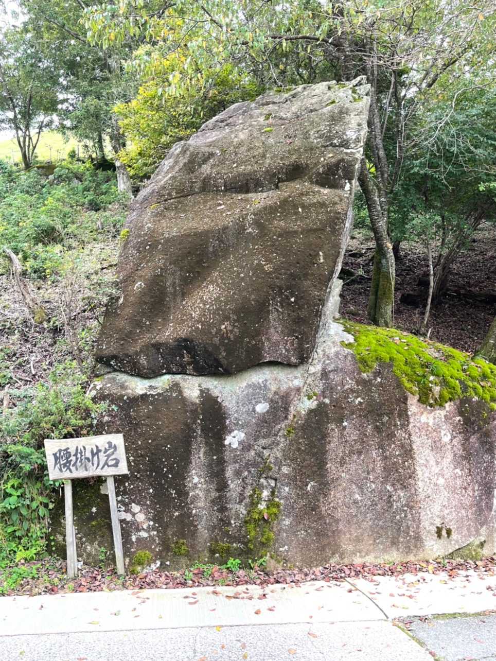 岩めぐり遊歩道入口-上の山-大野山 周回コースの写真
