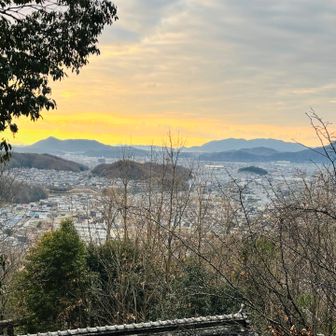 今年も色々登りました。