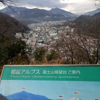 富士山は見えす