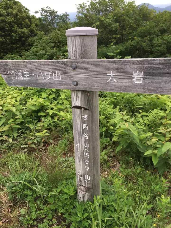城ヶ平山の写真