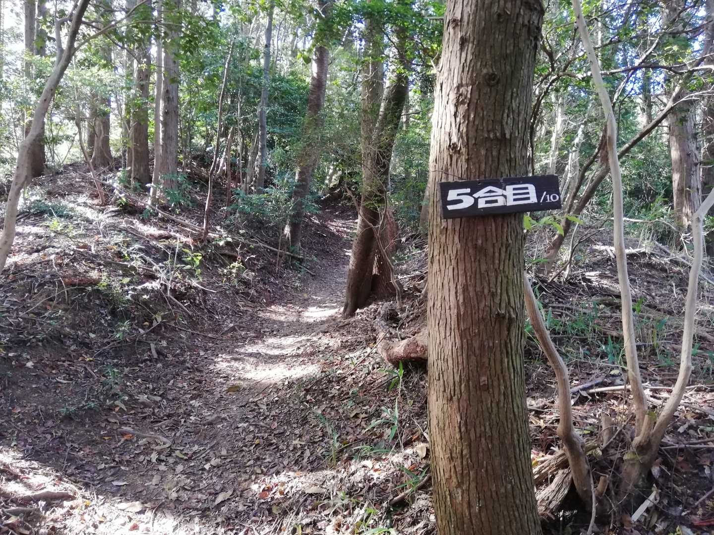 霊山森林公園遊歩道入口-正面登山口-霊山 往復コースの写真